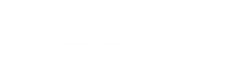 logo trans electro